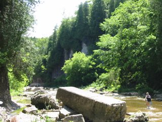 Someone walking in the Elora Gorge
