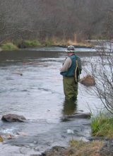Young Osprey just outside the entrance to Belwood Lake Conservation Area
