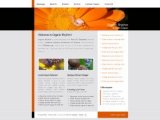 Website template